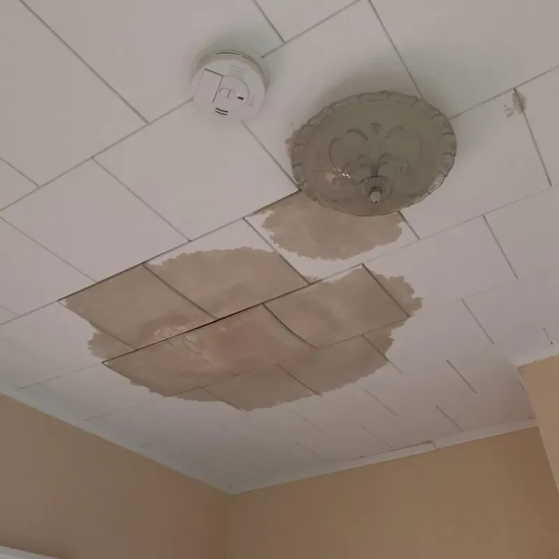 Ceiling Water Damage Repair in Jacinto City, TX